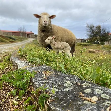 Casa Da Ti Milia * Trancoso