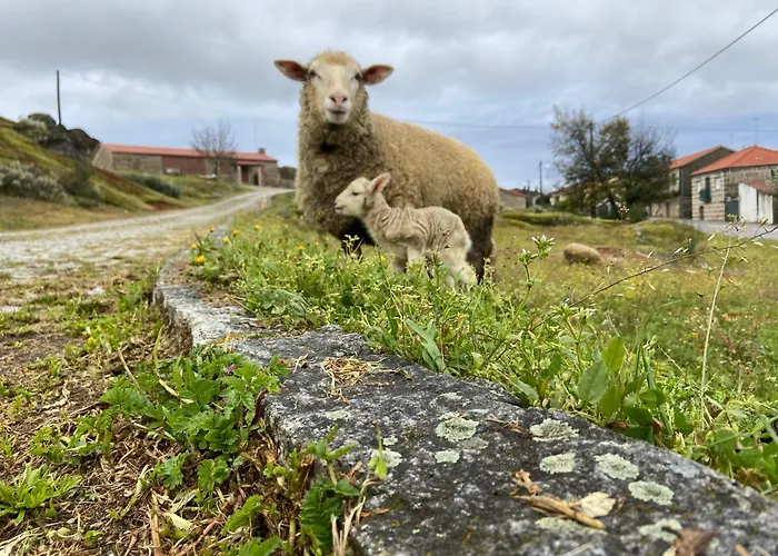 Casa Da Ti Milia * Trancoso